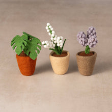 Load image into Gallery viewer, Felted Flower Pot - Baby&#39;s Breath
