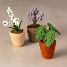 Load image into Gallery viewer, Felted Flower Pot - Baby&#39;s Breath
